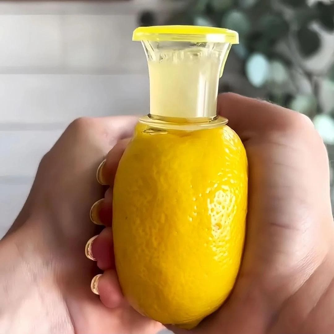 Lemon Juicer Manual Small Portable Squeezer Fruit Juice Extractor Filter Tool