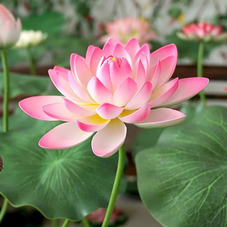 EVA with pole simulation lotus lotus leaf lotus dance props pool stage landscaping decoration fake simulation flowers and green plants