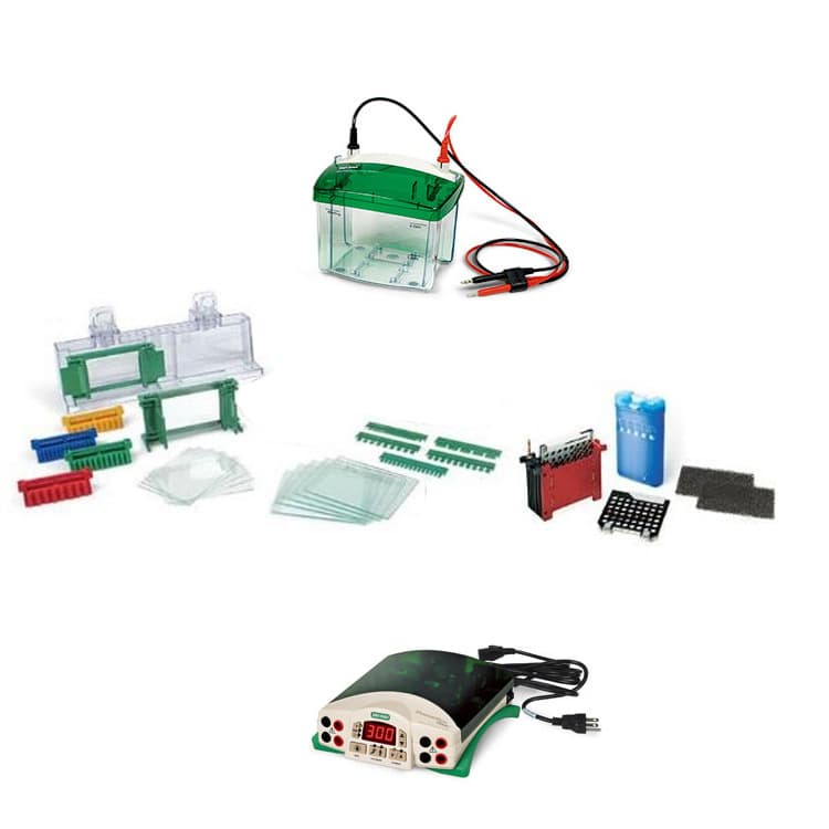 Bio-Rad 1658033 Electrophoresis Three-Piece Set, includes 1645050 PowerPac™ Basic Power Supply.