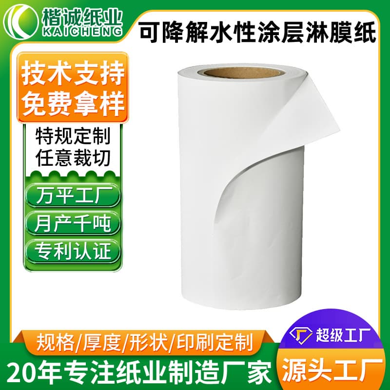 Biodegradable Water-Based Coated Paper - Custom Food-Grade Disposable Paper Cup PLA Modified Coating Coated Paper