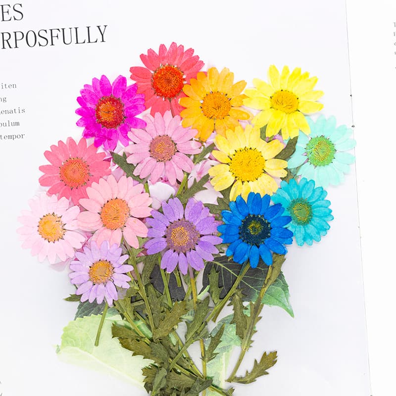 Crystal Chrysanthemum Dried Flower Craft Kit, Preserved Flower Pressed Petals, Handmade Epoxy Resin Bookmark, Real Plant Leaf Specimen