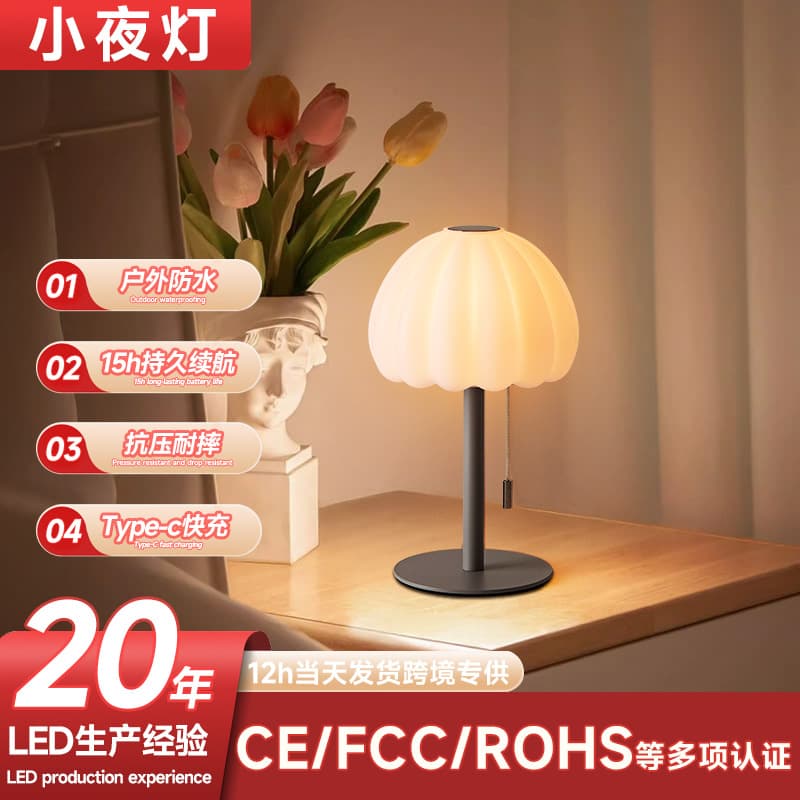New Multifunctional Small Desk Lamp Vintage Minimalist Pull-Ring Switch Top Touch Switch Premium Desk Lamp