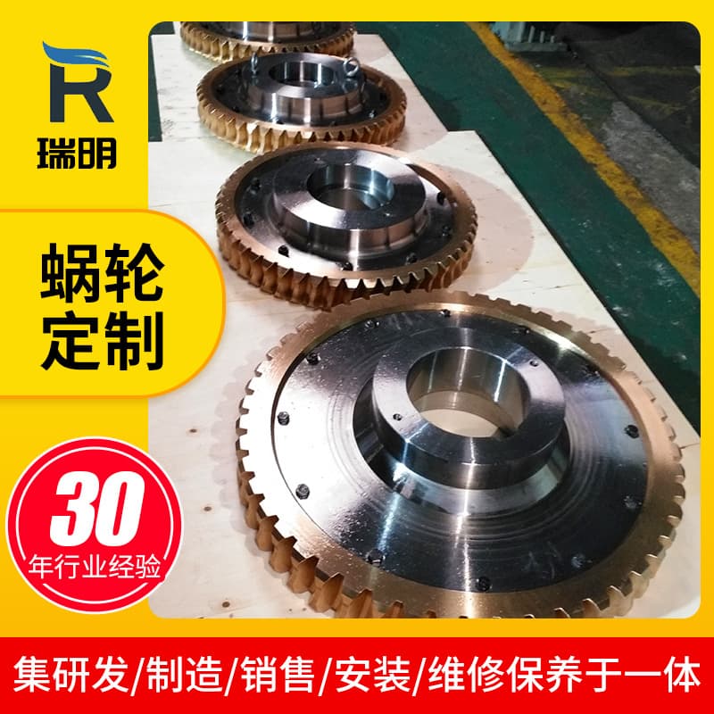 Ruiming Manufacturer Dual-Lead Worm and Worm Gear Precision Dual-Lead Worm and Worm Gear Mechanical Transmission Worm and Worm Gear