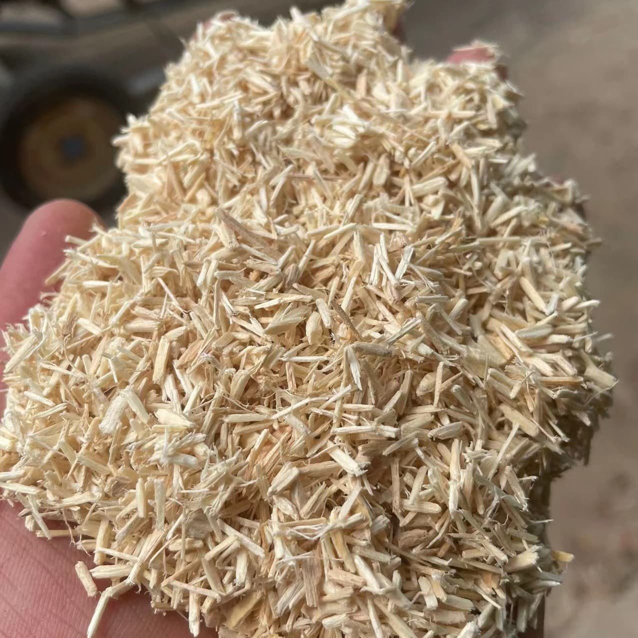 Aspen Hamster Bedding Wood Fiber Sawdust Turtle Substrate Aspen Pellets Reptile Snake Lizard Padding Material