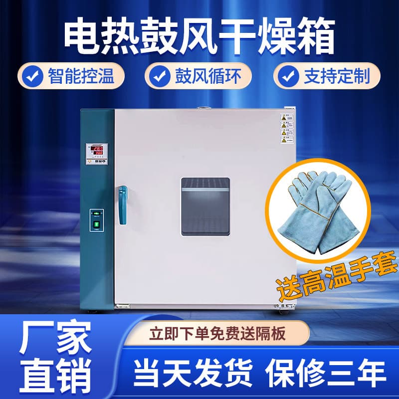 University Laboratory Electric Thermostatic Blowing Drying Oven High Temperature Industrial Oven Industrial Baking Oven Thermostatic Box Aging Box