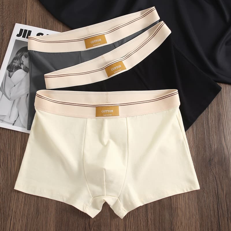 Men's Cotton Antibacterial Boxer Briefs, Breathable Four-Corner Shorts for Teens, Summer Underwear
