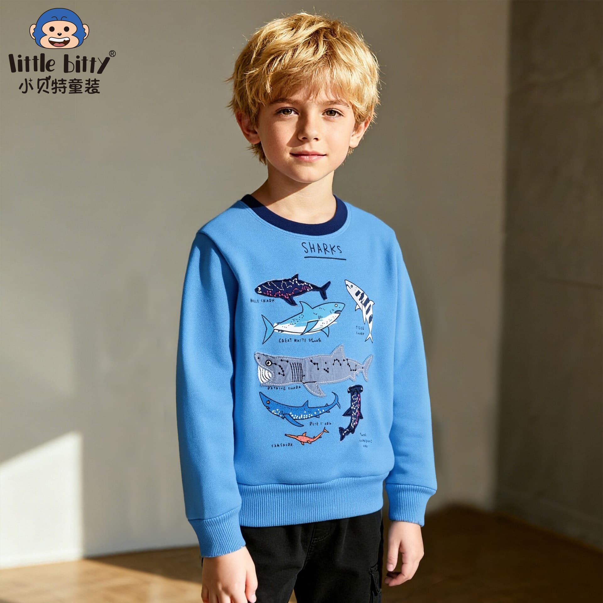 European and American 2025 Autumn Winter New Baby Boy and Kids Sweatshirt Round Neck Pullover Casual Cotton Embroidered Sweatshirt Cute Boy
