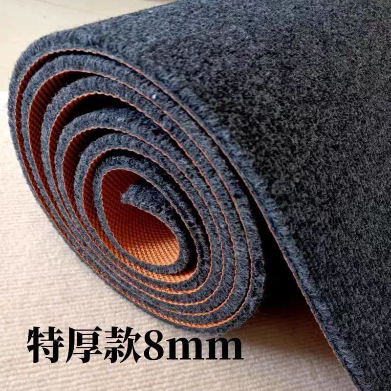 TPr Extra Thick 8mm Carpet, Home & Commercial Anti-slip Floor Mat, Sound Insulation Floor Mat, Bedroom Thick Carpet