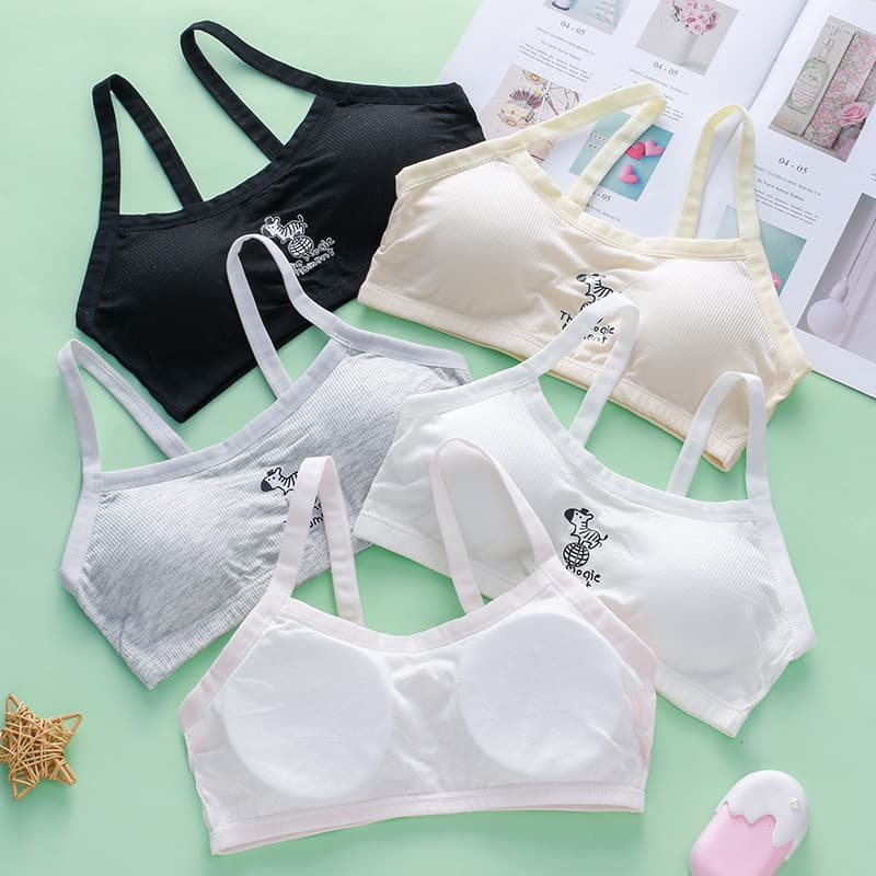 Ready Stock Wholesale Modal Development Period Underwear Pinduoduo Volume Seller Primary School Student Junior High School Student Includes Foam Bra