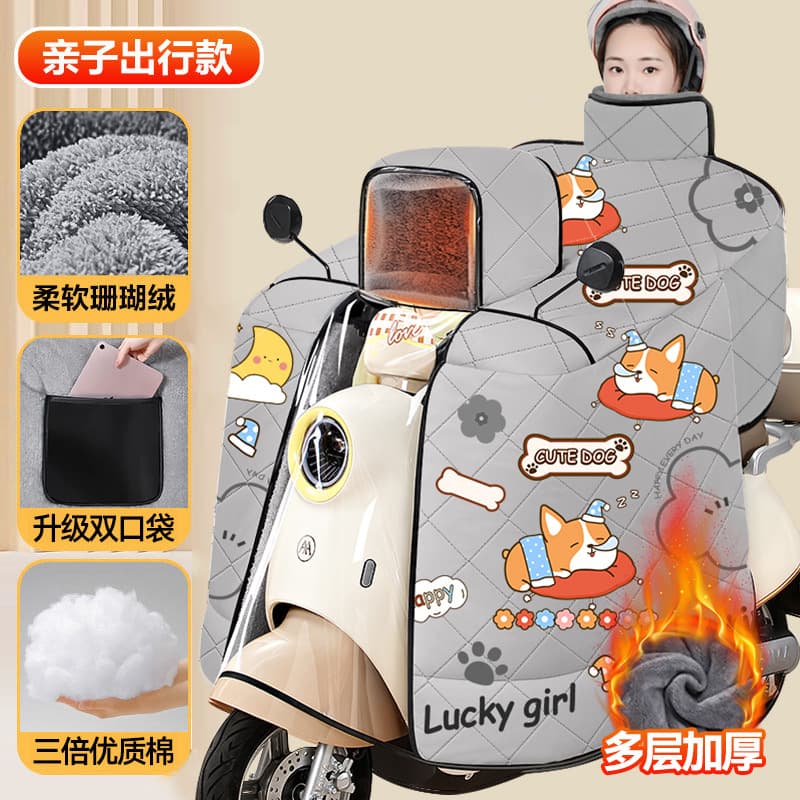 Electric Vehicle Windshield Cover