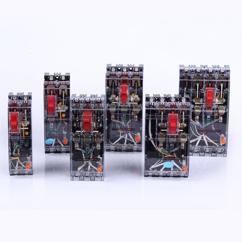 Factory Wholesale DZ15LE Molded Case Earth Leakage Circuit Breaker Leakage Protection Switch Transparent Shell Leakage Protector