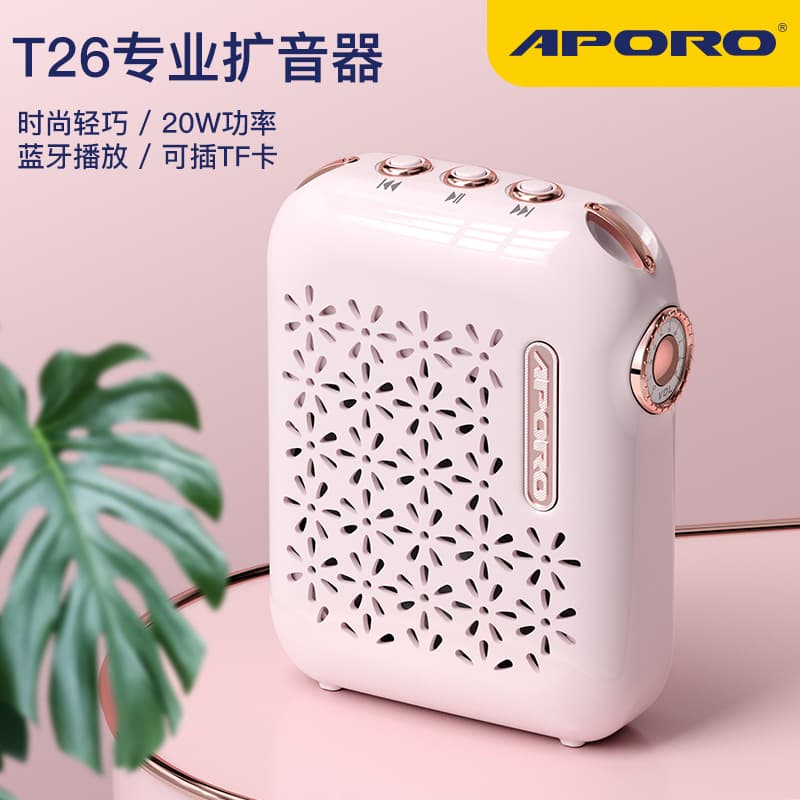 New Small Bee Amplifier for Teachers, Wireless Ear Microphone for Lectures and Tour Guiding, Megaphone T26
