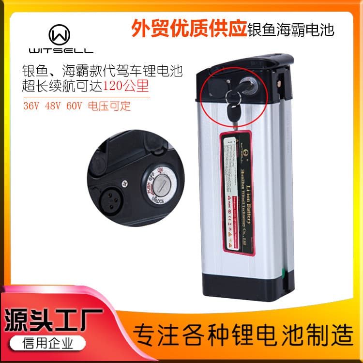 Foldable Silverfish Style 48V 20Ah Electric Vehicle Battery Pack 36V Lithium Battery Bottle for E-Bike and Scooter Replacement