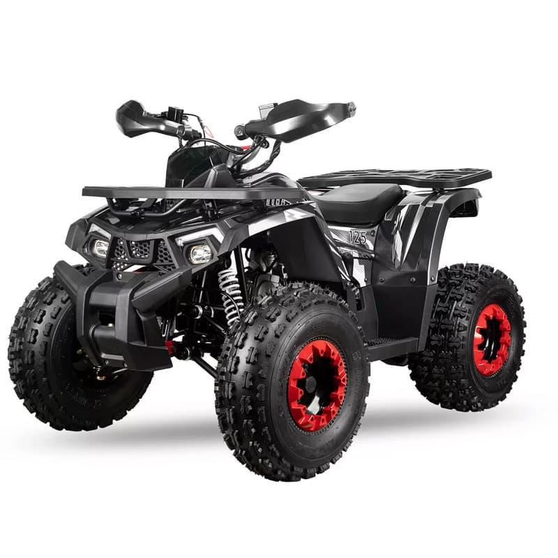 All Terrain Vehicle Adult 125Cc 150Cc Rs8-A Gasoline Four Wheel Atv Automatic + Reverse Gear
