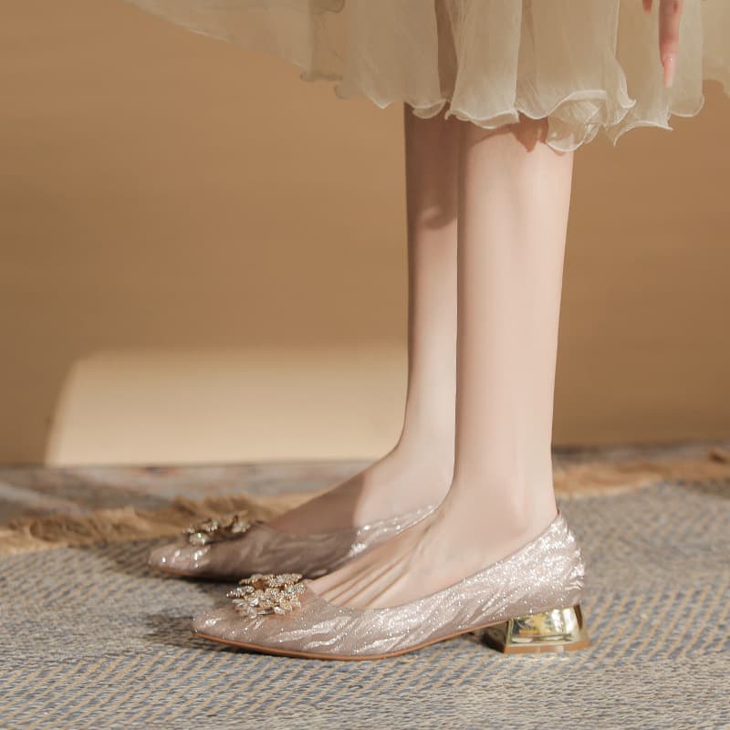 Jingang CH3022-1 Chunky Heel Pointed Toe French Style Shoes 2024 New Spring/Autumn Sexy Low Heel Versatile Shallow Mouth Women's Shoes