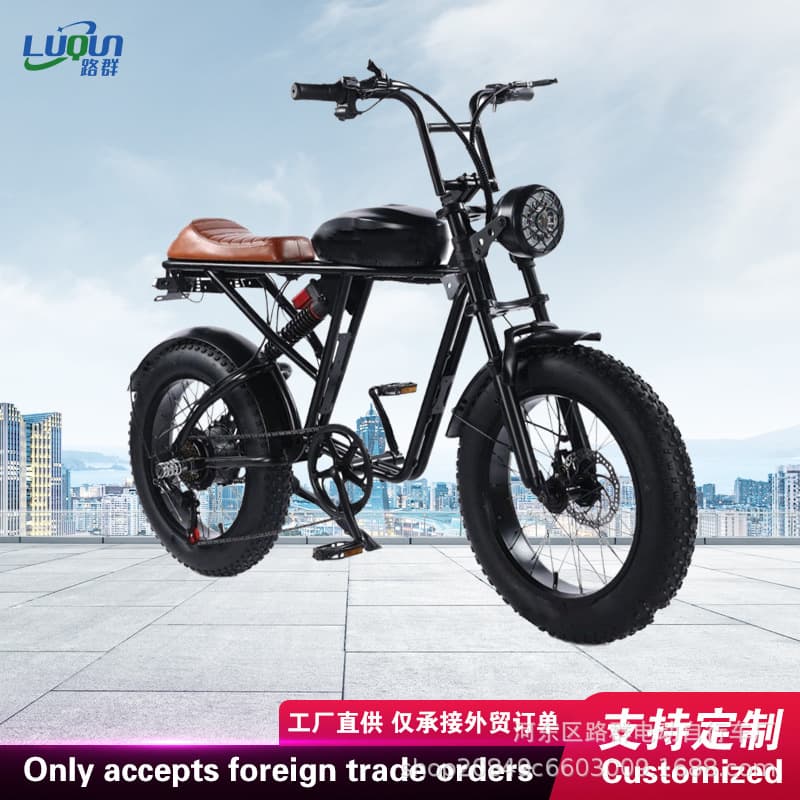 Luqun Lithium Electric Bike Off-Road Fat Tire Snow Bike Fat Tire Dual Shock Absorber Variable Speed Retro Bicycle Electric Vehicle