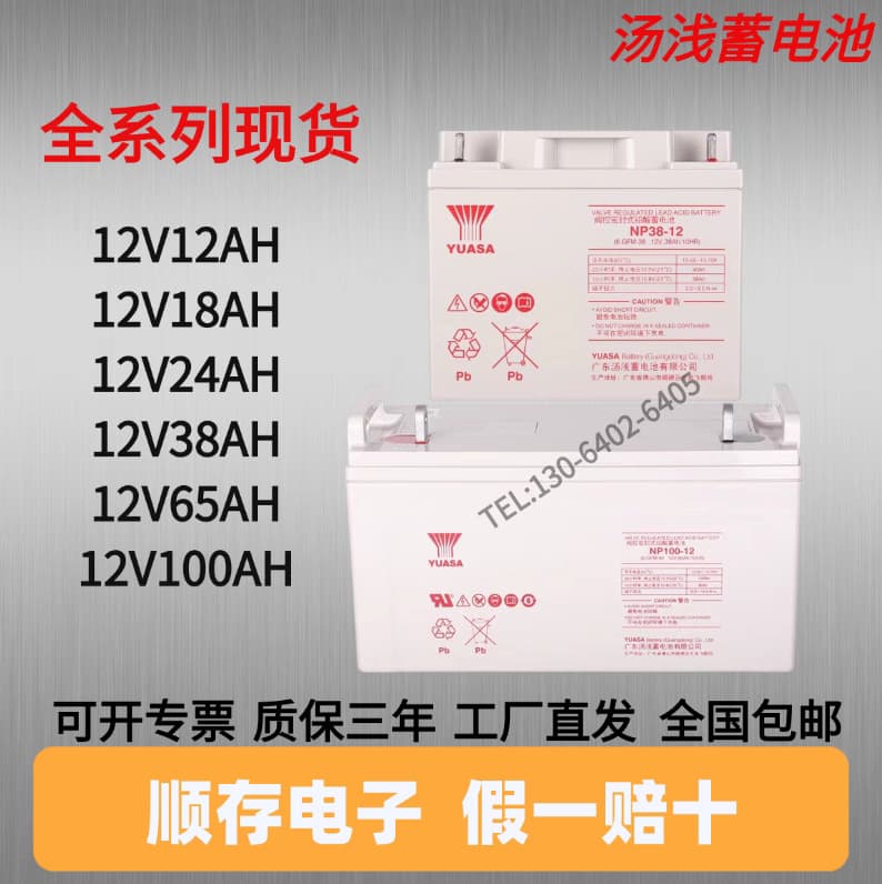 Yuasa Battery NP100-12/NP38-12/NP24-12/12V100AH/38/24 Ah UPS-specific