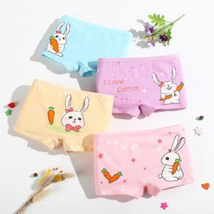 New 12-Pack Girls' Underwear Pure Cotton Class A Cartoon Briefs Kids Panties Wholesale Factory