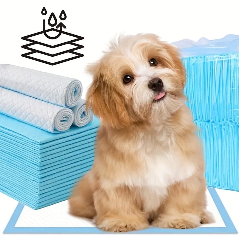 2026 New Cross-border Drop Shipping Dog Pee Pads 22"x22" Training Dog Pads