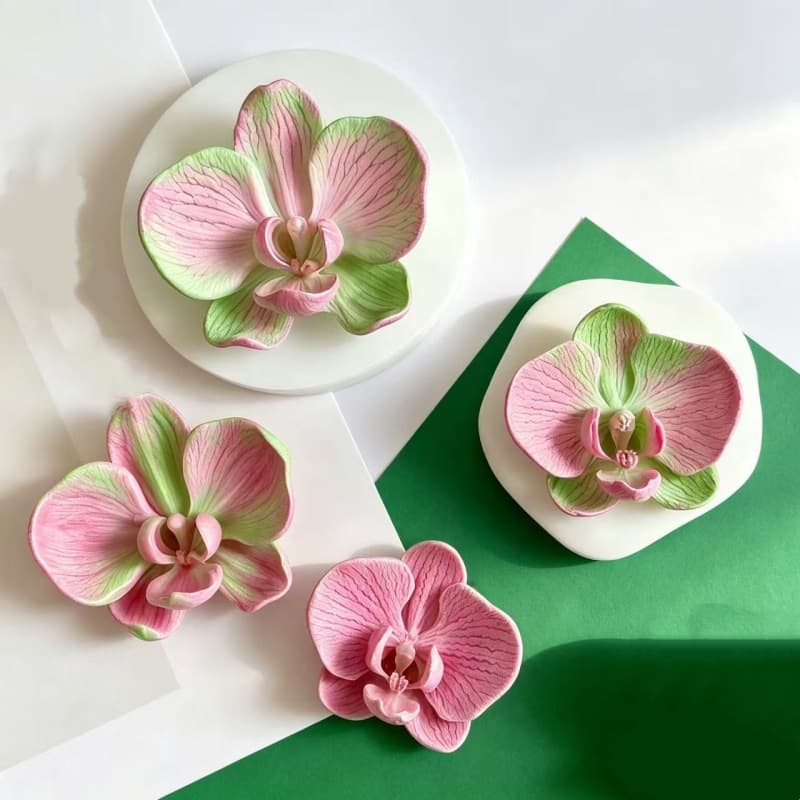 Phalaenopsis Scented Candle Silicone Mold DIY Phalaenopsis Plaster Home Decoration Baking Cake Decoration Mold