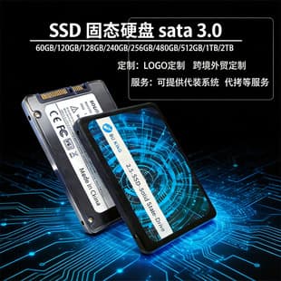 310g In Stock SATA Solid State Drive 120GB Desktop Storage Drive 240GB Laptop Universal SSD High-Speed Drive