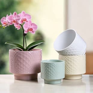 Nordic Simple Ceramic Flower Pot, Home Use with Tray, Extra Large, for Phalaenopsis, Ins Style, Snake Plant, Succulents, Green Plant Pot, Clearance