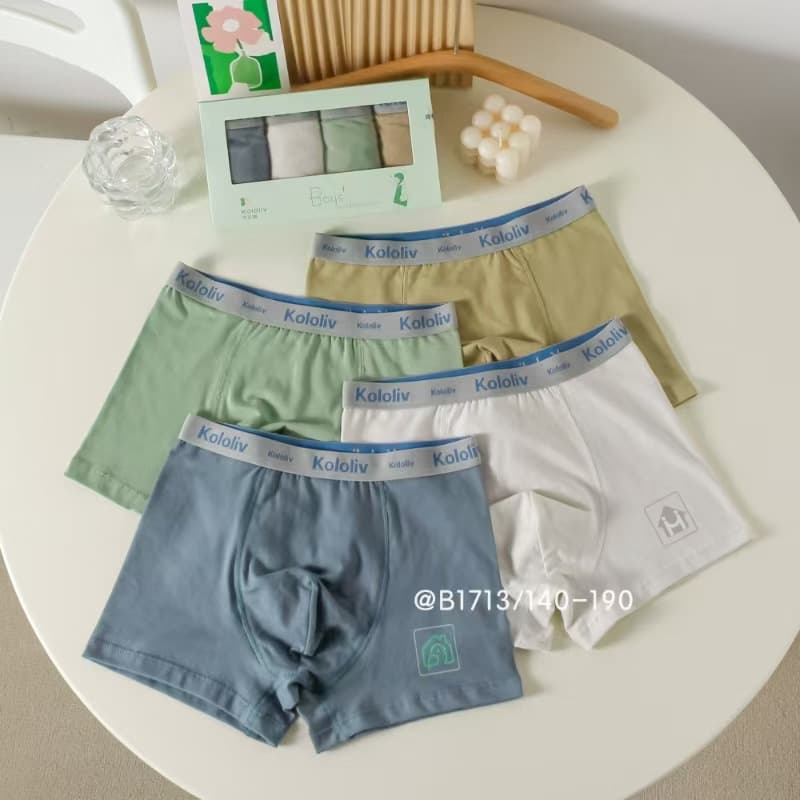 Cola Pear Teen Boys Underwear Cotton Boys Briefs Big Kid Boys Boxer Briefs High School Teenagers