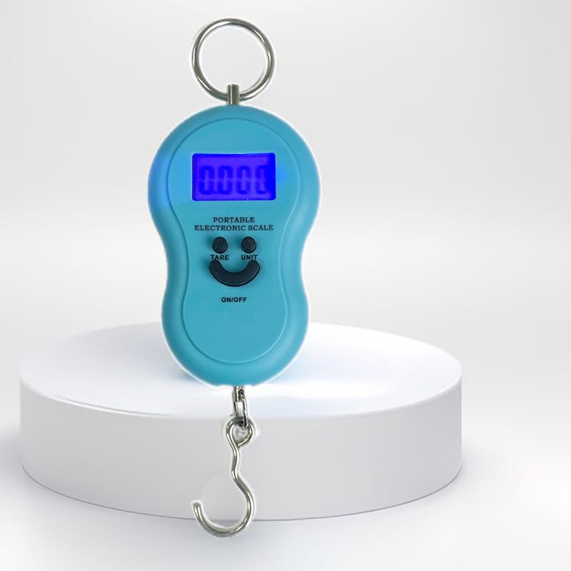 Direct Supply Electronic Scale Spring Mini Portable Fishing Scale 50kg Hanging Scale with Hook Gourd Scale