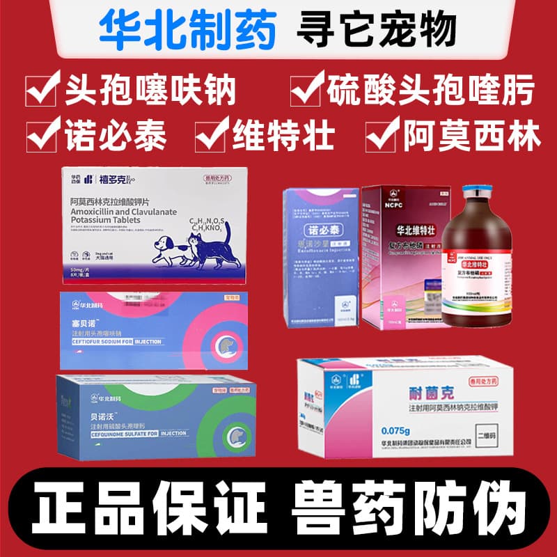 Huabei Pharmaceutical Weite Zhuang Compound Butaphosphan Xiduoke Nuobitai Ceftiofur Sodium and Cefquinome Sulfate for Injection