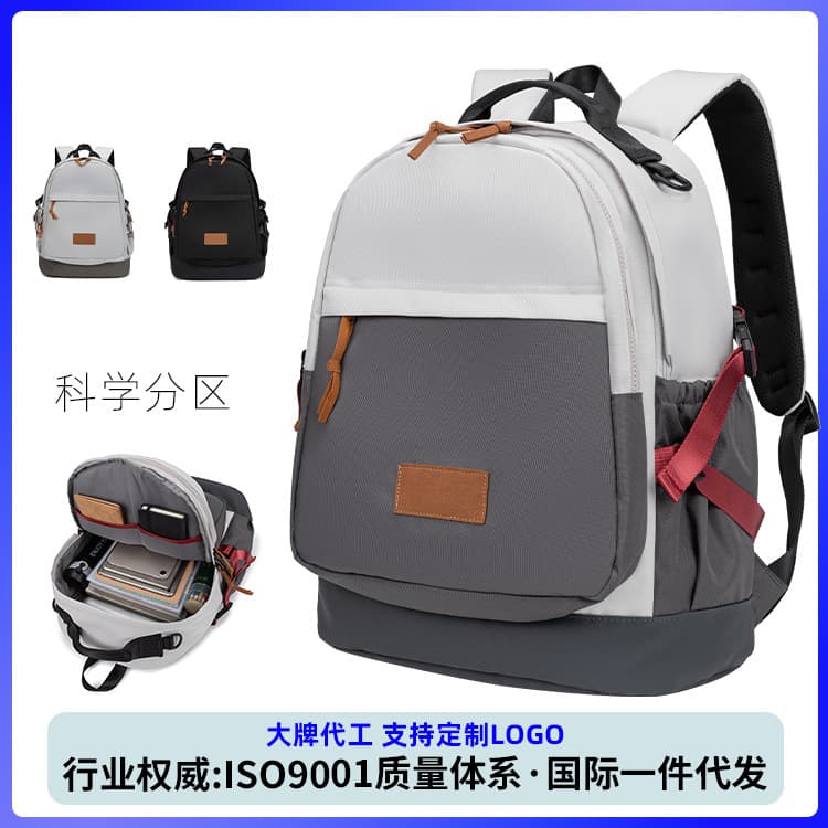 Large Capacity Laptop Backpack for Women, Lightweight Commuter Campus Backpack for College Students, Men's Style