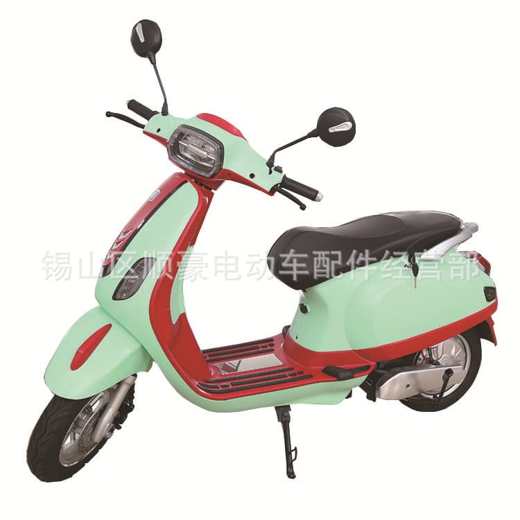 Electric Bicycle Electric Motorcycle Front Disc Rear Drum High Range New Cross-border Lake Green 60v20A with Battery