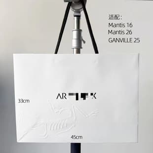 Bird Brand Original Counter Handbag Down Jacket Packaging Bag Shirt Jacket Shoes Clothing Handbag Original Bird