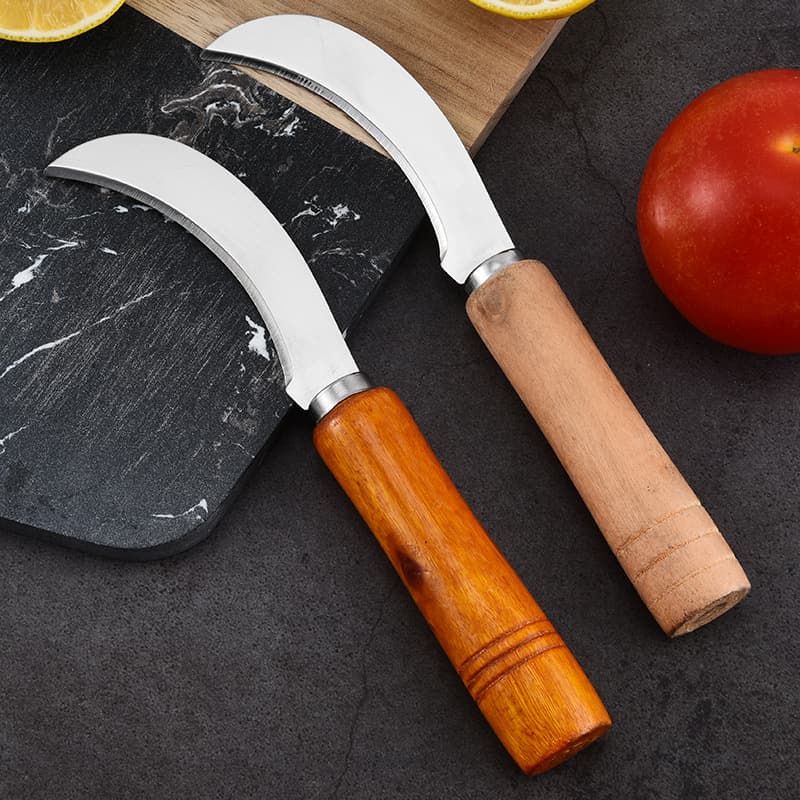 Yangjiang Fruit Knife Kitchen Fruit/Vegetable Knife Portable