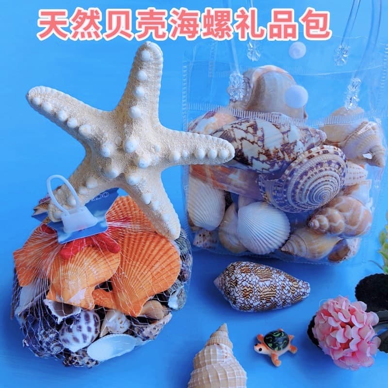 Shells and conch gift packs, fish tanks, aquariums, landscaping, night market stalls, tourist areas, popular children’s gifts