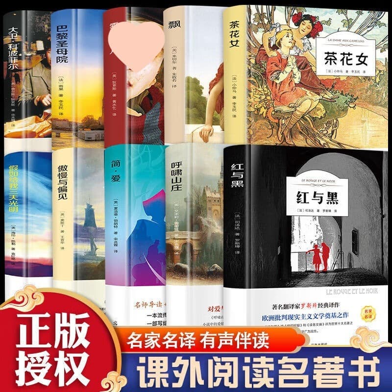 Essential reading for primary and junior high school students: Jane Eyre, The Red and the Black, The Hunchback of Notre Dame, Pride and Prejudice, Wuthering Heights