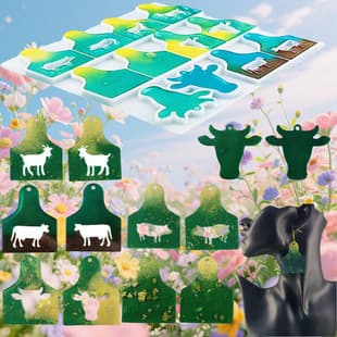 Z0018 Bull Animal Series Earring Mold Tag Desktop Decoration Cement Plaster Mold DIY Silicone Mold
