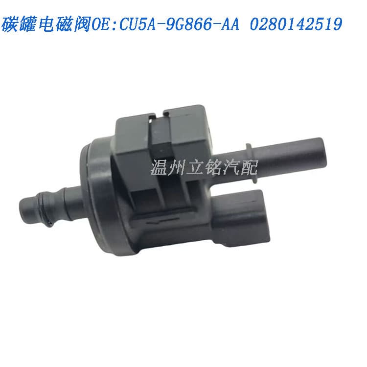 CU5A-9G866-AA 0280142519 For Ford Carbon Canister Solenoid Valve, Vapor Valve, Purge Valve
