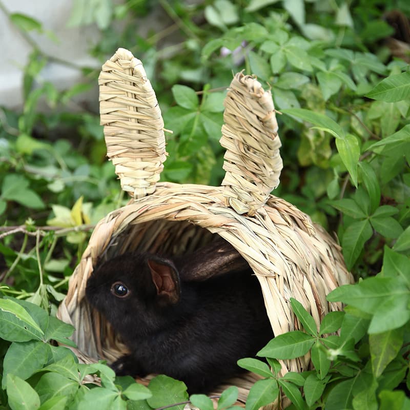 Temu Handwoven Exotic Pet Rabbit Tunnel Nest, Chinchilla Hamster Golden Hamster Guinea Pig Toy Tunnel, Hedgehog Hideout