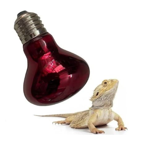E27 Amphibian Snake Reptile Bulb Light Heat Night Light Day Light UVA 55g Ceramic Heat Lamp