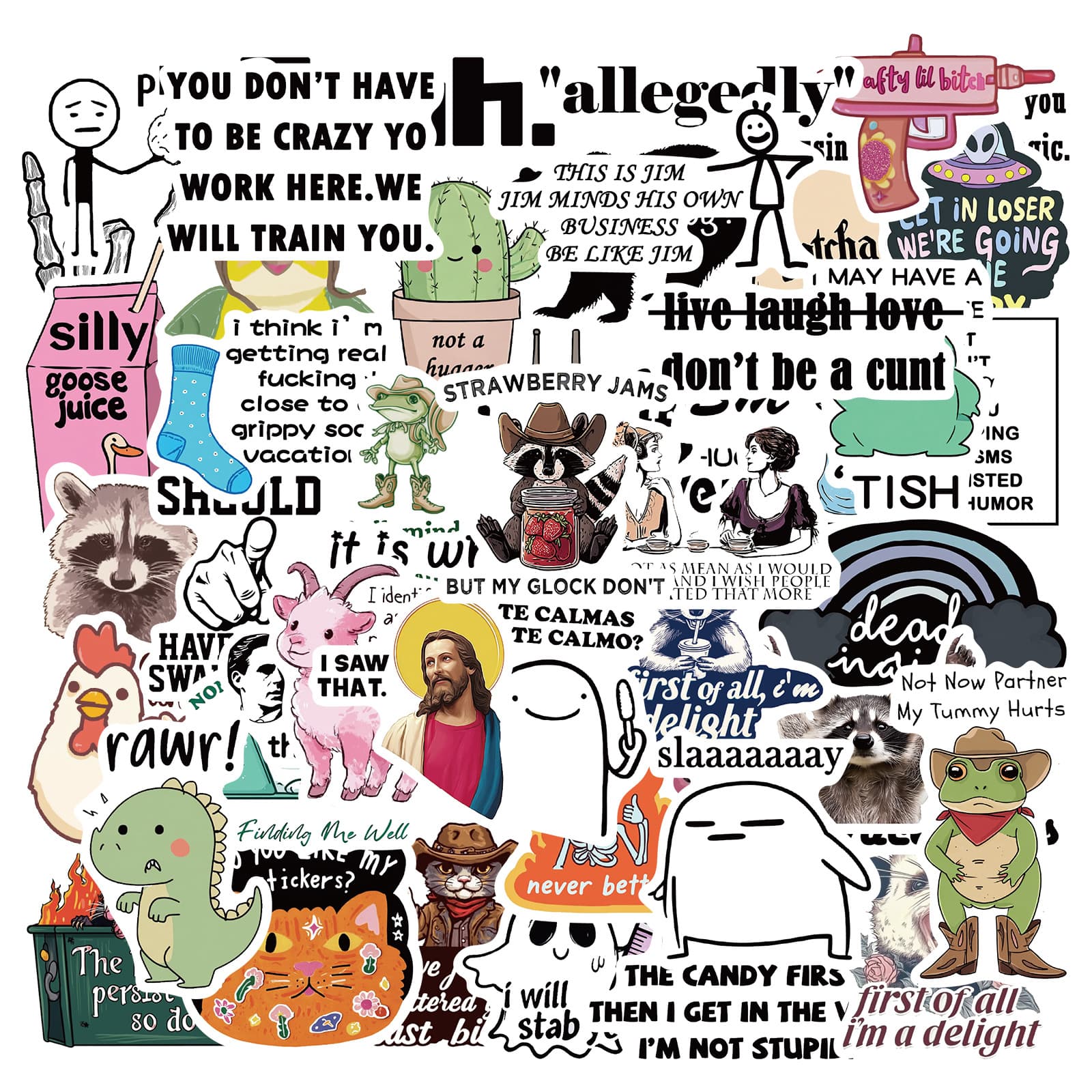 50 Funny Stickers Waterproof DIY Journal Notebook Guitar Glass Decoration