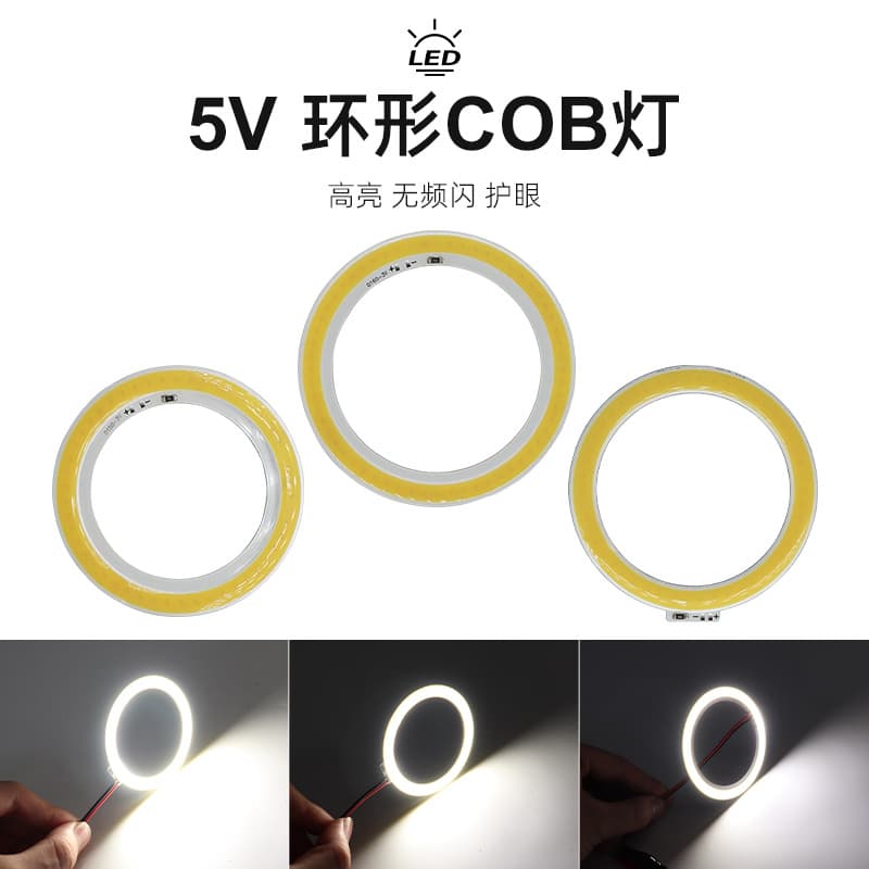 Customized DC5V ring COB aperture RA95 high CRI 70/80mm lamp ring LED light source USB small lamp 3W white