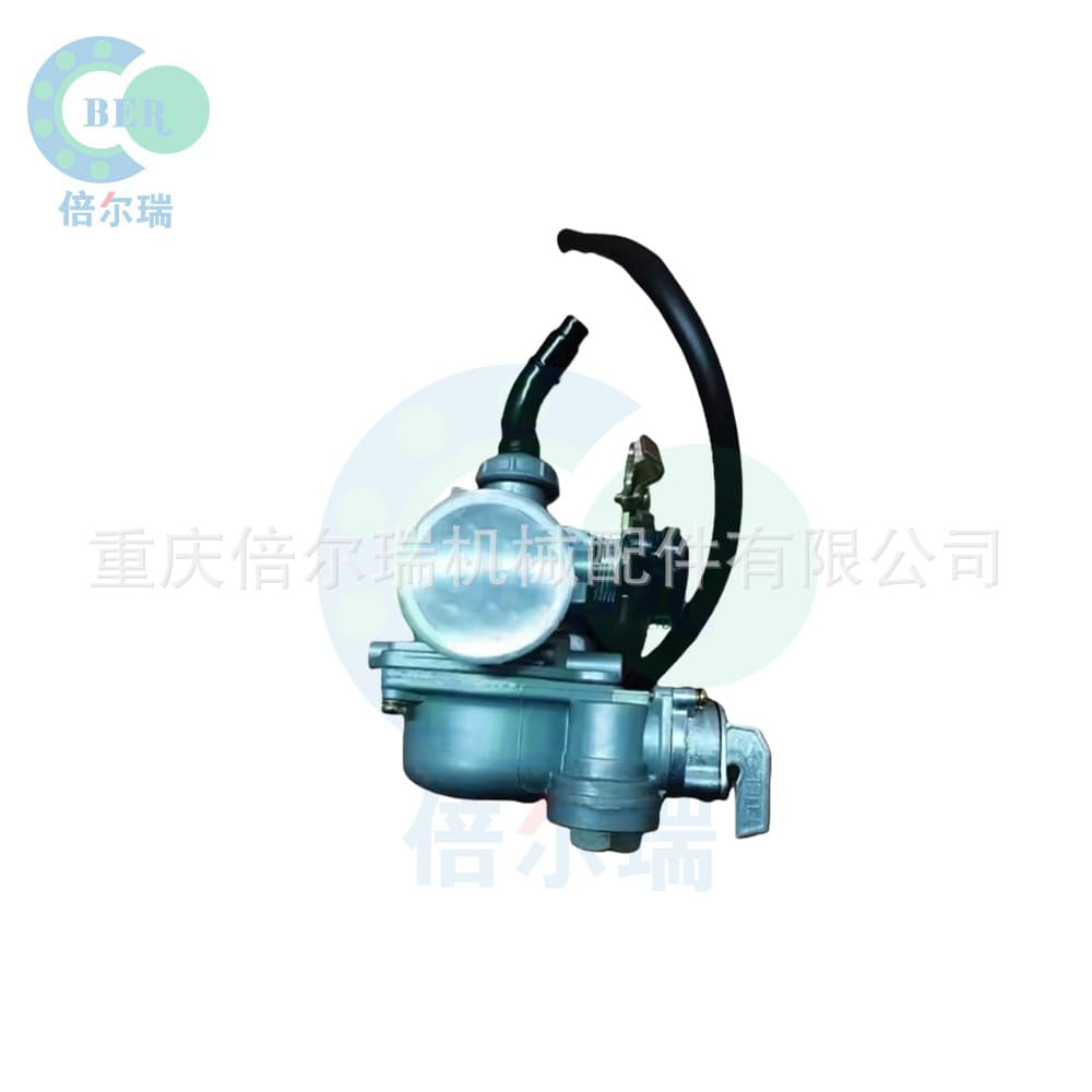 Motorcycle Parts PZ19 Carburetor for DY100 Model