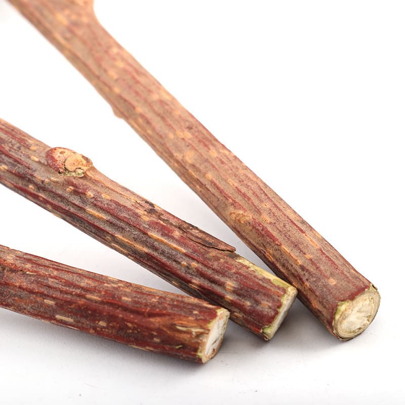 Wholesale catnip lollipops, hairball remover and dental chews, 1-pack, natural wood cat treats.