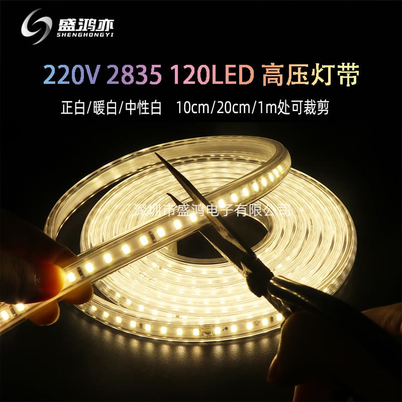 LED Strip Light 220V 2835 No Wire 120 LEDs/m Cuttable High Brightness Indoor Outdoor Waterproof Decorative Long Strip Light