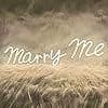 Cross-border marry me neon mural gift, wedding sign wall decoration, proposal show true love proposal
