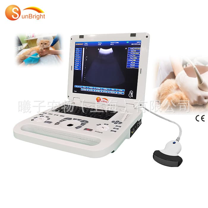 Veterinary All-Digital Ultrasound Diagnostic Machine Portable Animal B/W Ultrasound Machine Pet Cat Dog B/W Ultrasound Scanner