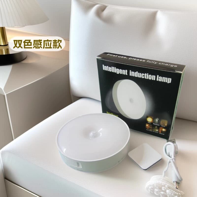 LED Dual-Color Rechargeable USB-C Night Light, White/Warm Light Switchable, with Magnet, USB-C Charging Cable