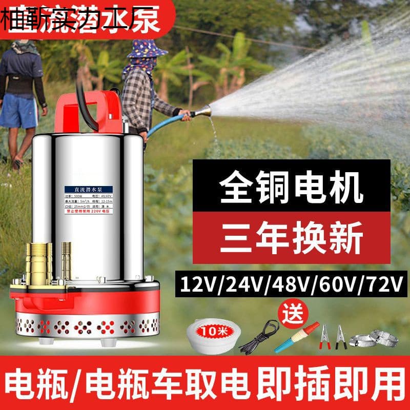 DC Submersible Pump 12V24V48V60V72V Household Water Pump Universal for Electric Vehicle Water Pump
