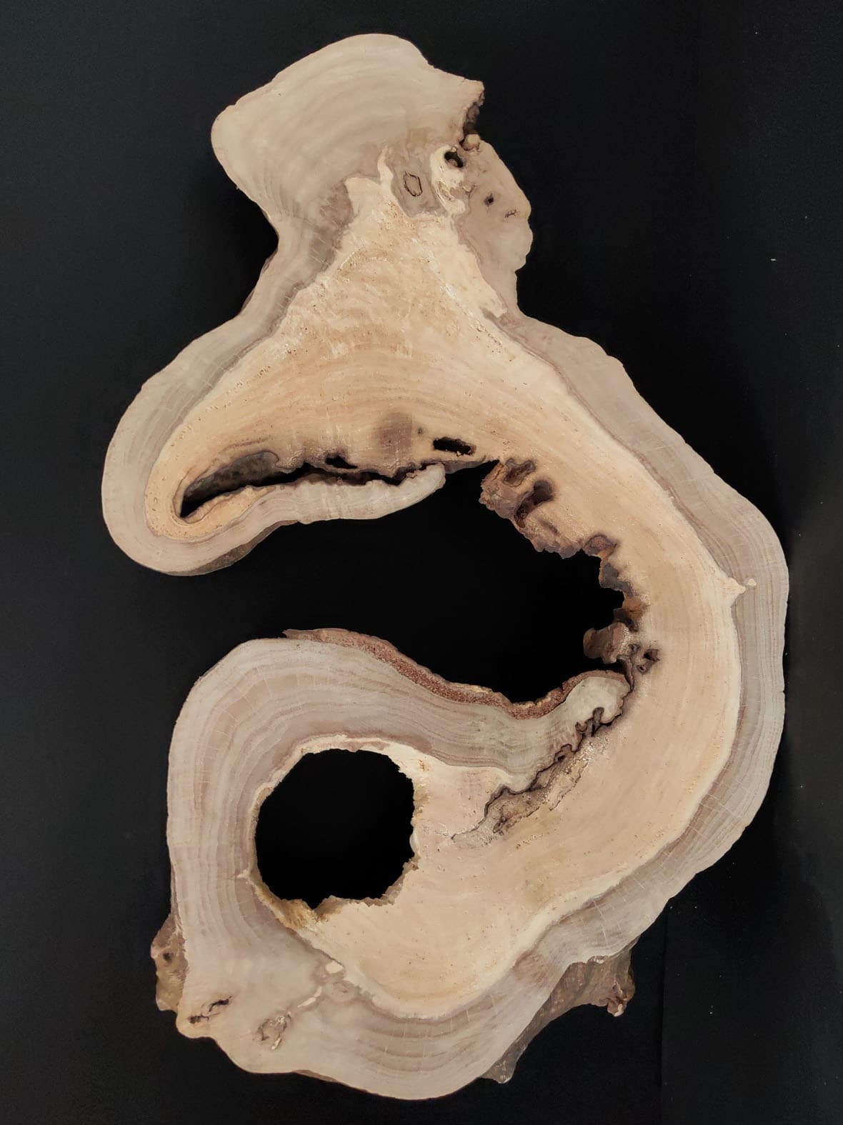 Root Carving Wood Carving Natural Wood Weathered Wood Dry Wood Fragrant Cypress Wood Slice Annual Ring Slice Ornament Base Stand Home Decoration