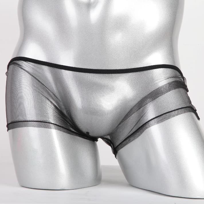 Men's Underwear Fine Mesh See-through Mesh Pouch Low-rise Boxer Briefs Large Size C-092